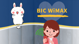 BIC WiMAX